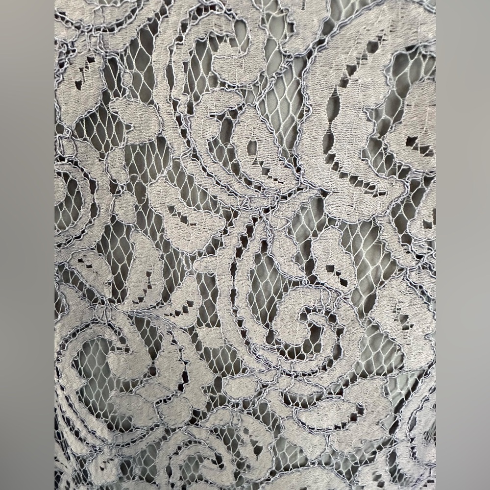 NWT J.Crew Natalia Grey Leavers Lace Dress Size 6-Stunning Lined V Neck Cocktail - Picture 16 of 16
